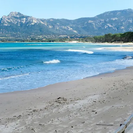 Thalassa-3 By Interhome * Calvi (Corsica)