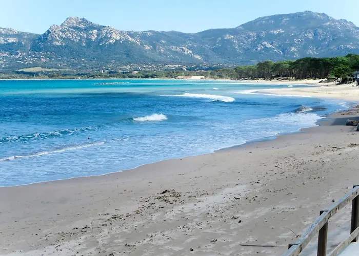 Thalassa-3 By Interhome * Calvi (Corsica)